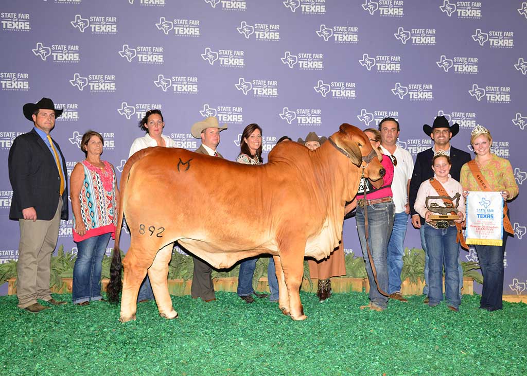 2016 State Fair of Texas Livestock Show (Dallas Archives Moreno Ranches